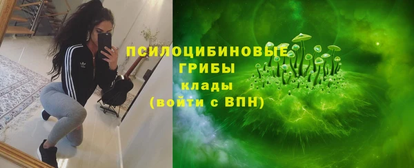 прущие крисы Абаза