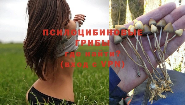экстази Алзамай