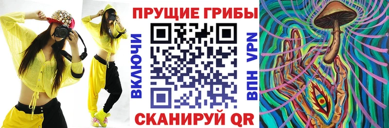Псилоцибиновые грибы GOLDEN TEACHER  Электроугли 